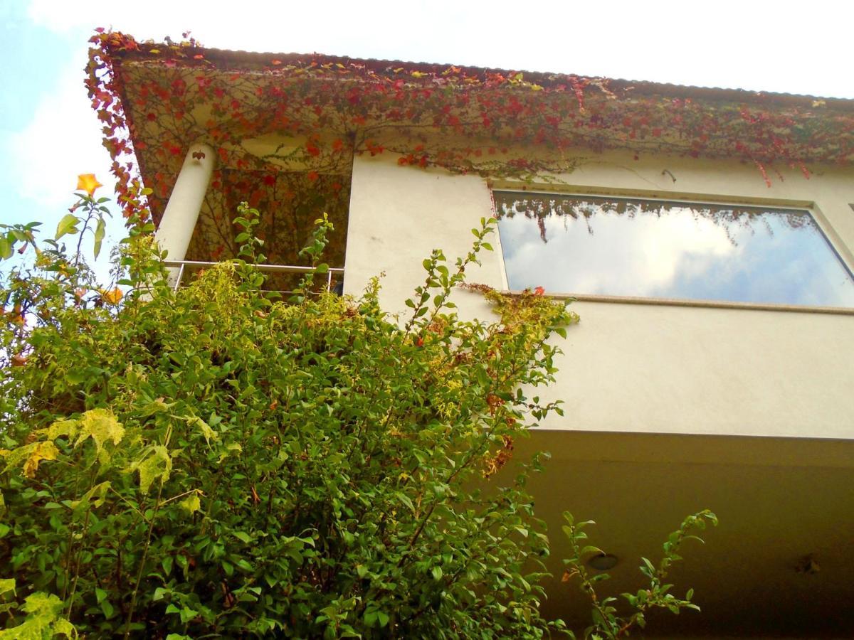 The Nest ~ Your Best Rest Sever do Vouga Exterior photo