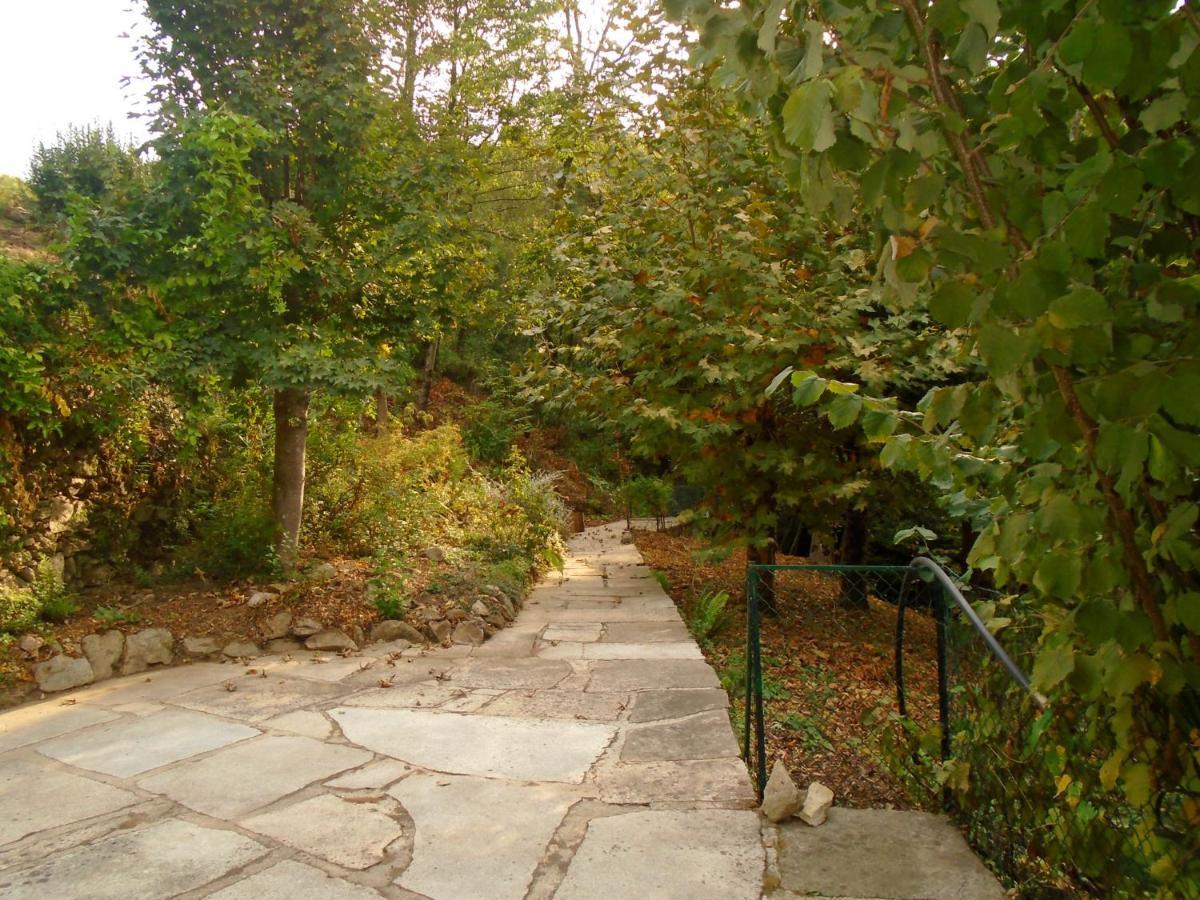 The Nest ~ Your Best Rest Sever do Vouga Exterior photo