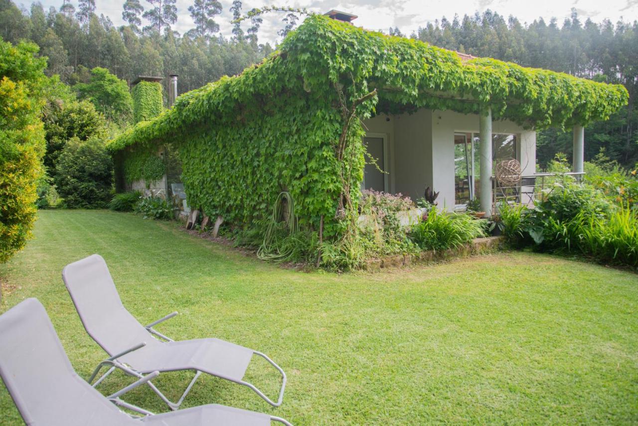 The Nest ~ Your Best Rest Sever do Vouga Exterior photo