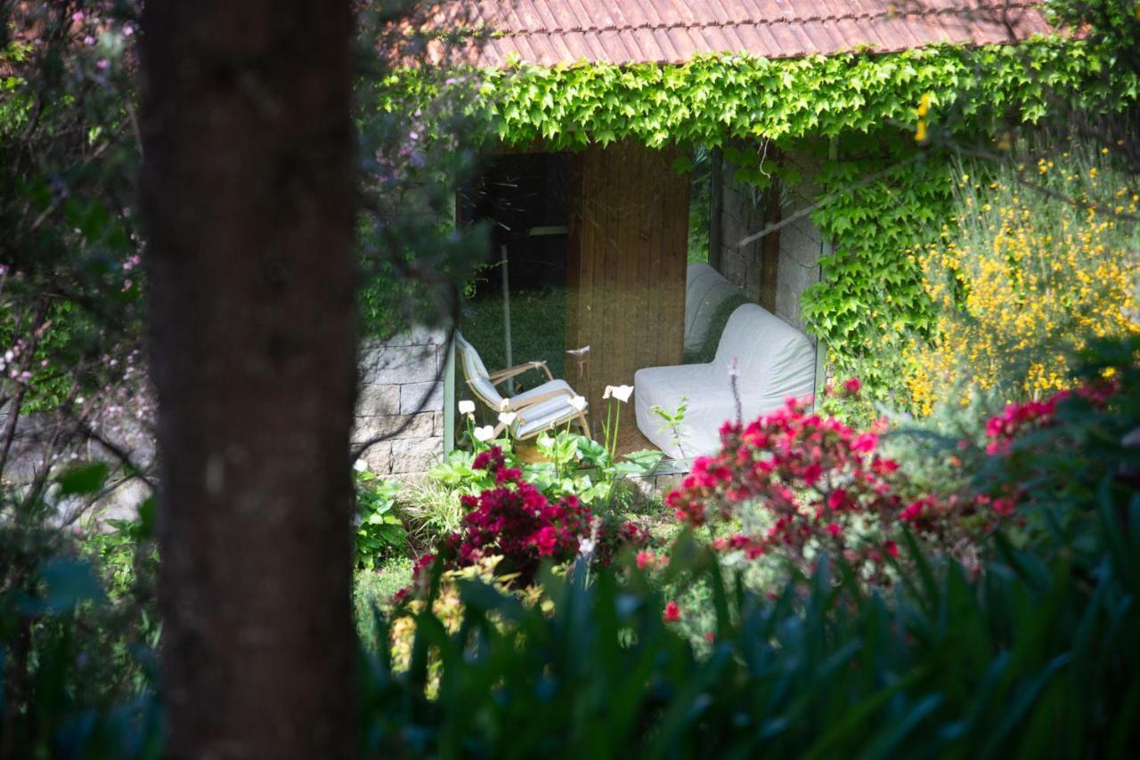 The Nest ~ Your Best Rest Sever do Vouga Exterior photo